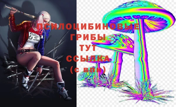 мдпв Зеленодольск