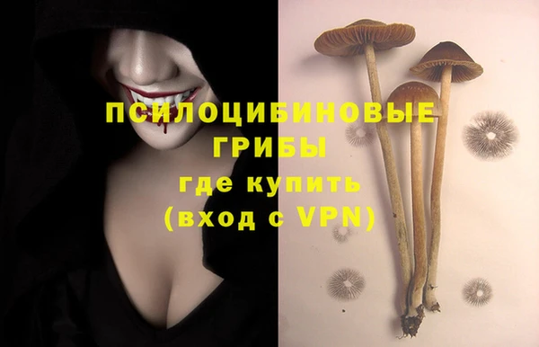 герыч Сафоново