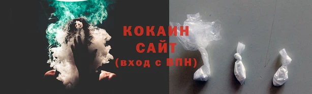 мдпв Зеленодольск
