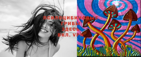альфа пвп Россошь