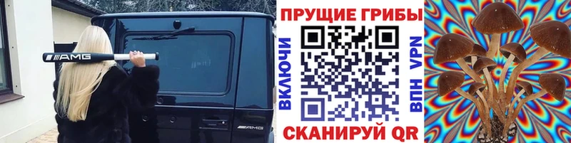 где продают наркотики  Славянск-на-Кубани  Галлюциногенные грибы прущие грибы 