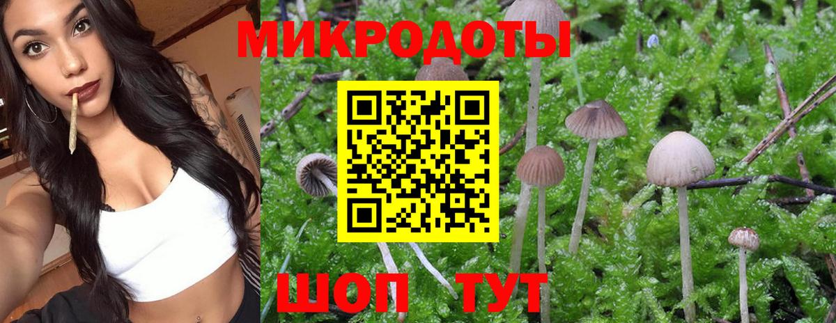 Галлюциногенные грибы GOLDEN TEACHER Славянск-на-Кубани