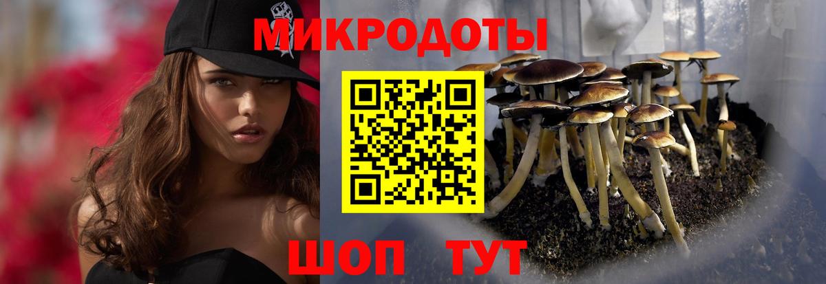 Псилоцибиновые грибы Psilocybine cubensis  Славянск-на-Кубани  Галлюциногенные грибы ЛСД 